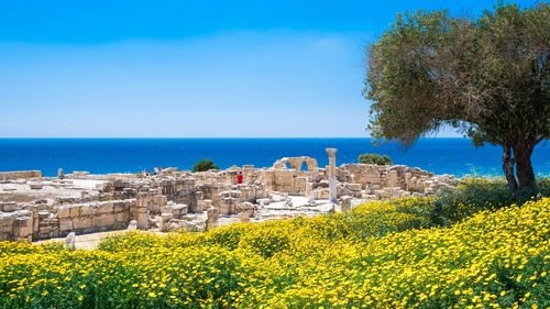 Achilles' House Kourio Basilica at The Sanctuary of Apollo at the Kourion World Heritage Archaeological site near Limassol (Lemesos), Cyprus © Georgios Tsichlis/Shutterstock