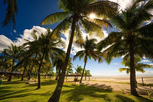 beach-palm-viti-levu-fiji-shutterstock_548199901