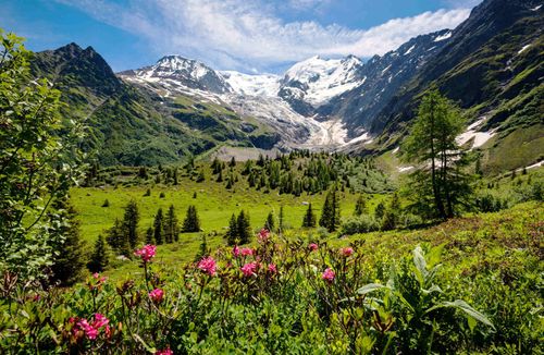 spring-mountains-apls-france-shutterstock_456467581