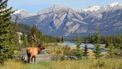 The Canadian Rockies