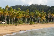 The Samaná Peninsula